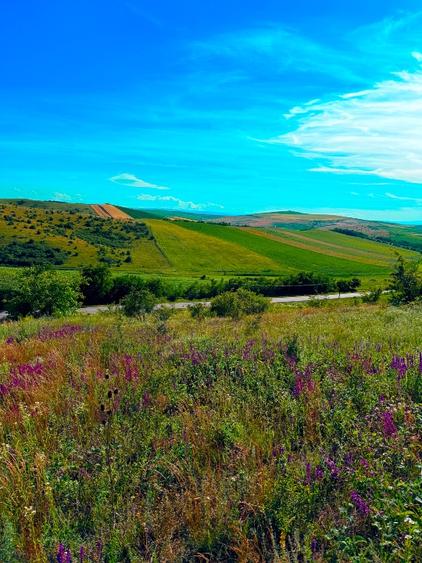 Teren agricol extravilan de 2900 mp, în Jucu