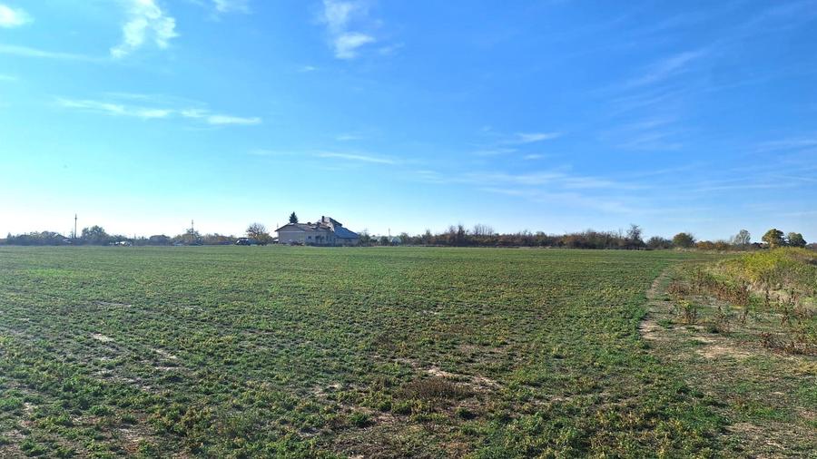 Teren Construcții intravilan de 54141 mp, în Adunații-Copăceni