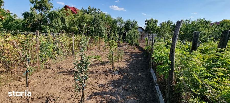 Casă cu 5 camere cu Teren 458 Mp în Caracal