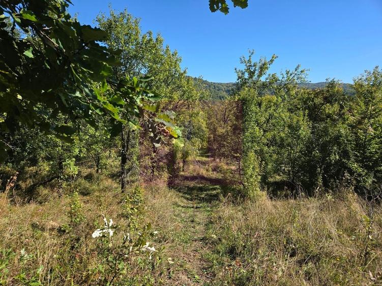 Teren agricol extravilan de 10452 mp, în Șotrile
