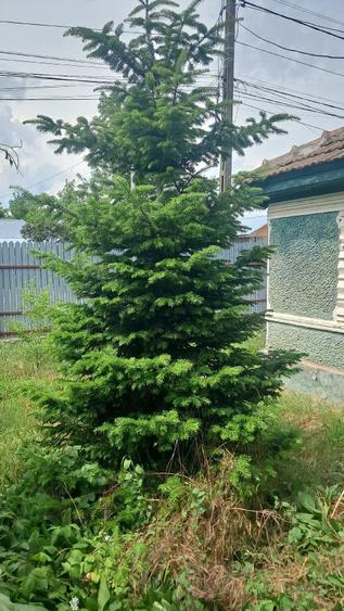 Casă cu Teren 1700 Mp în Plopu