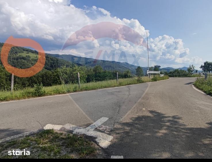 Teren de 128948 mp, în Negreni