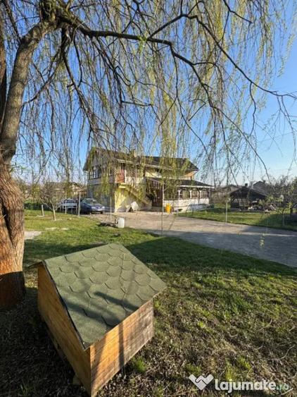 Casă cu 4 camere cu Teren 1400 Mp în Tăuții de Sus