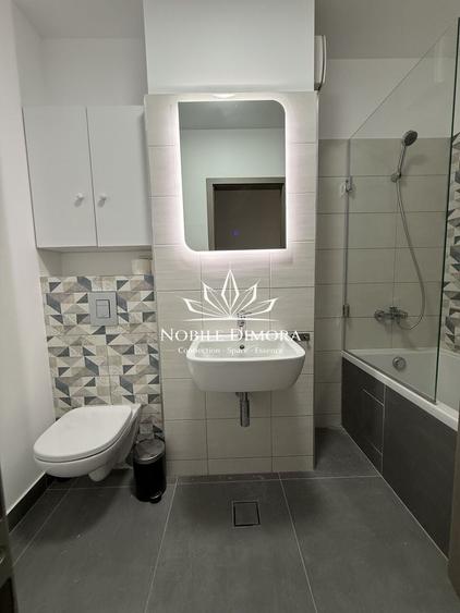 Apartament cu 2 camere semidecomandat, mobilat în Take Ionescu