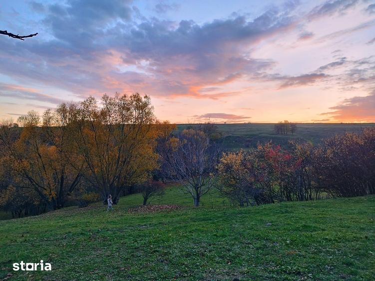 Teren de 2200 mp, în Frumosu