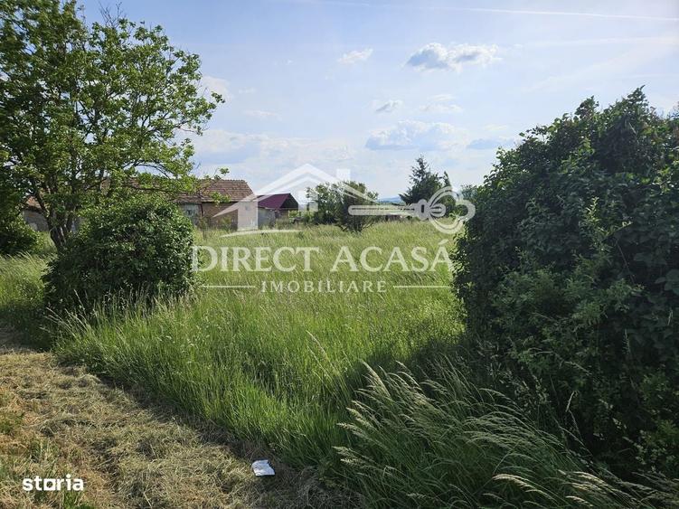 Spațiu comercial, în Ernei