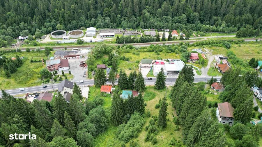 Teren de 9000 mp, în Malul Ursului