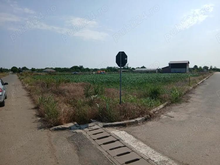 Teren intravilan 920 mp dubla deschidere, 2 strazi asfaltate 5 min de sta?iuni - 5