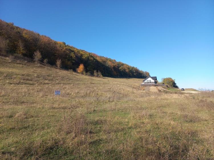Teren intravilan 895 Mp schimb cu apartament sau auto codlea - 8