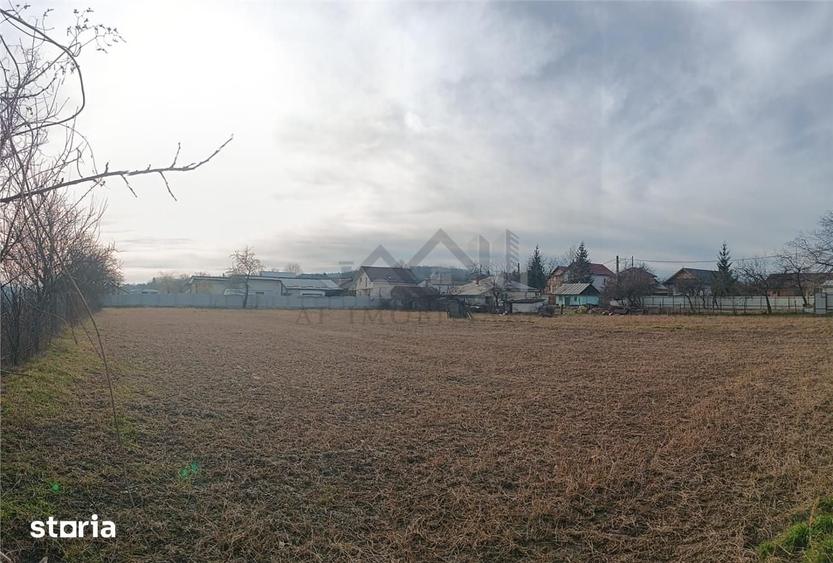Teren de 3500 mp, în Bârnova