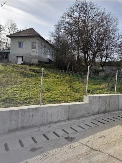 Casă cu Teren 2400 Mp în Berislăvești