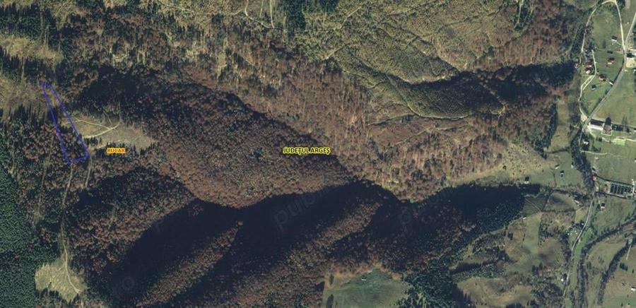 Teren de 50000 mp, în Rucăr