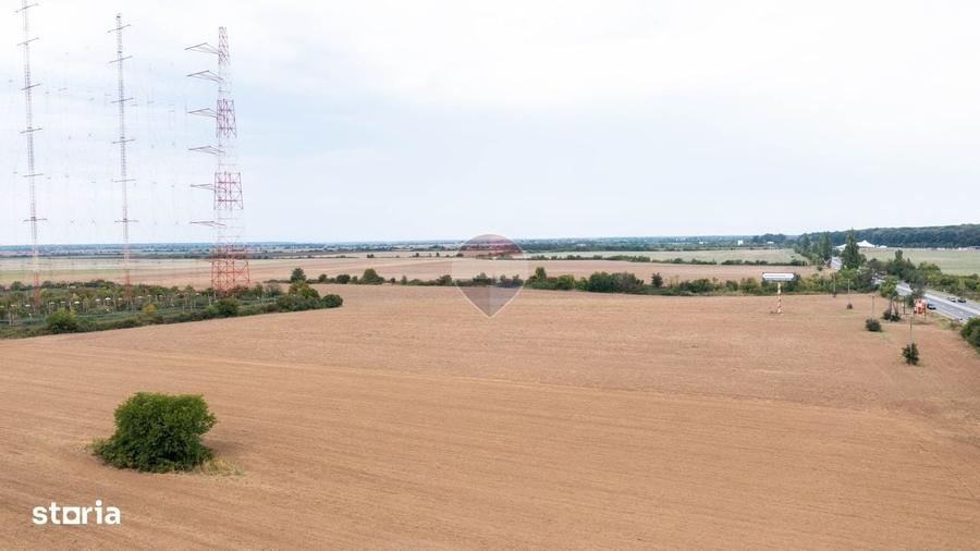 Teren intravilan 10.000mp Ciolpani, acces direct din DN1 - 8