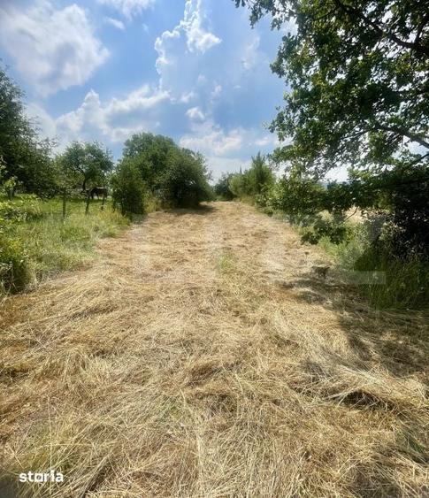 Teren de 3200 mp, în Budacu de Jos