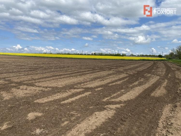 Teren agricol extravilan de 41700 mp, în Sânandrei