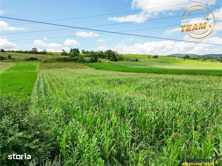 Teren de 7400 mp, în Ilieni