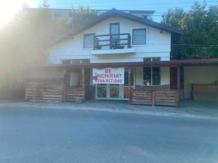 Spațiu comercial, de 135 mp, în Hlincea