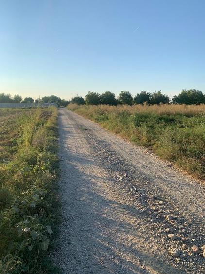 Teren Construcții intravilan de 44000 mp, în Dascălu