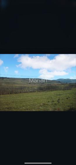Vând teren extravilan Șoarș, Făgăraș *Potențial agricol și investițional