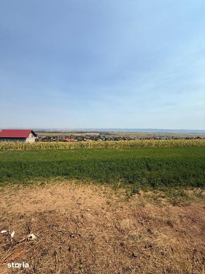 Teren de 470 mp, în Luizi-Călugăra