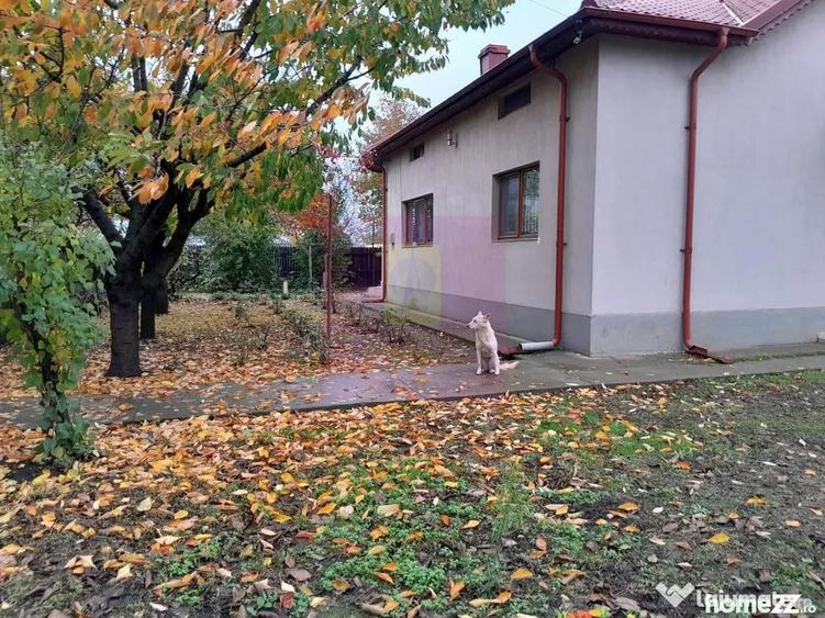 Casă cu 7 camere cu Teren 1500 Mp în Islaz