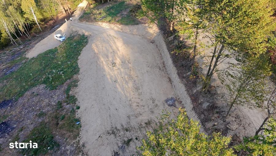 Teren de vanzare, 7300 mp, acces pavat - 1