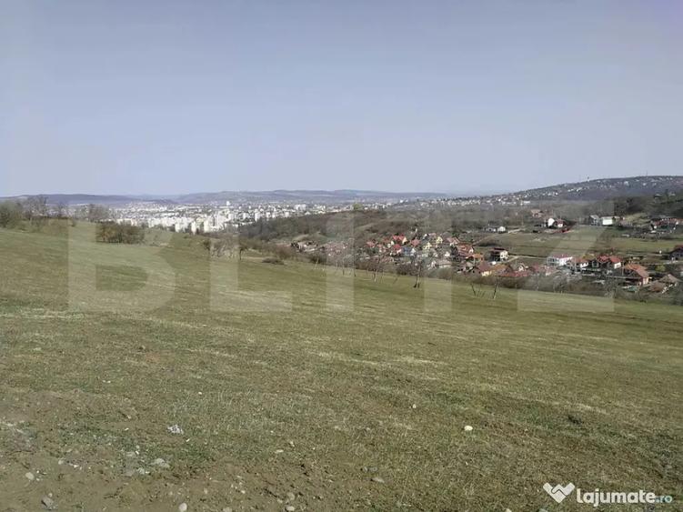 Teren de 15904 mp, în Dâmbu Pietros
