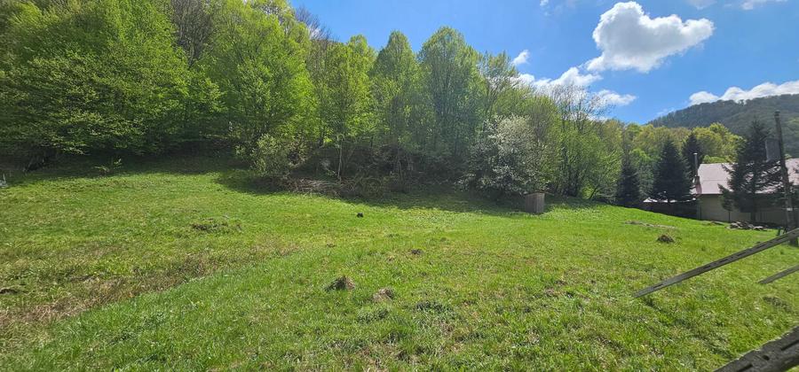 Teren de 2450 mp, în Bulz