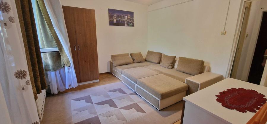 Inchiriere apartament 1 camera Nae Leonard - 3