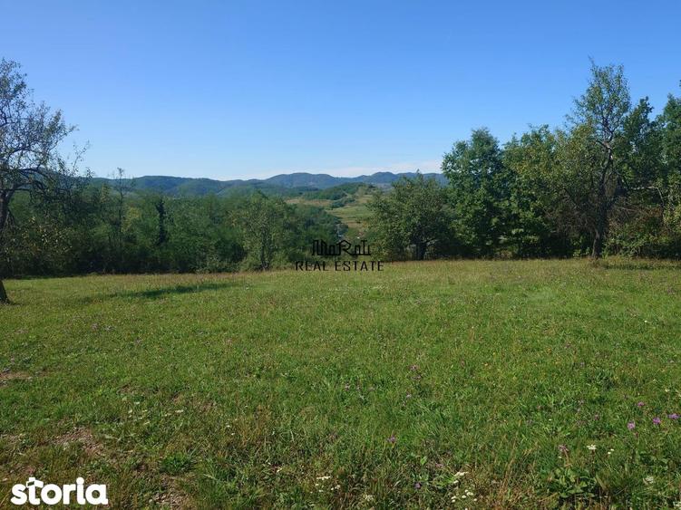 Teren de 8757 mp, în Luncoiu de Jos