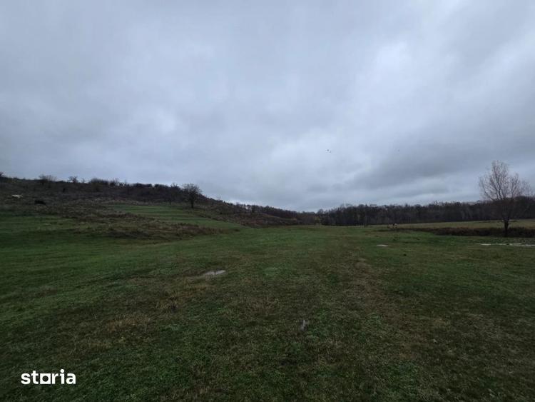 Teren de 100000 mp, în Albota