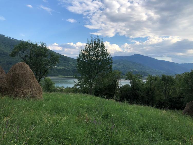 Teren de 2500 mp, în Pângărați