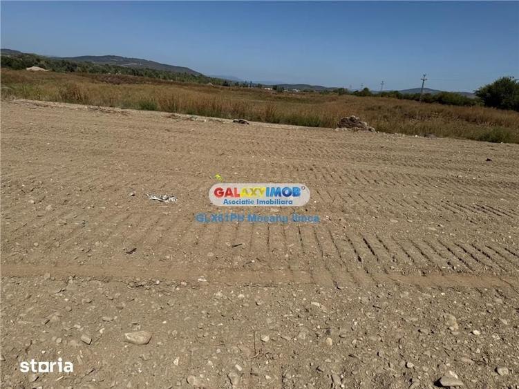 Teren de 2960 mp, în Lipănești