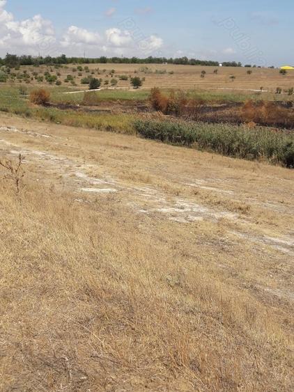 Teren de 780 mp, în 23 August