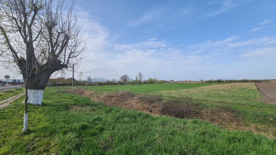 Teren Construcții intravilan de 2134 mp, în Prejmer