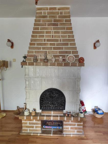 Casă cu 7 camere cu Teren 22000 Mp în Provița de Jos