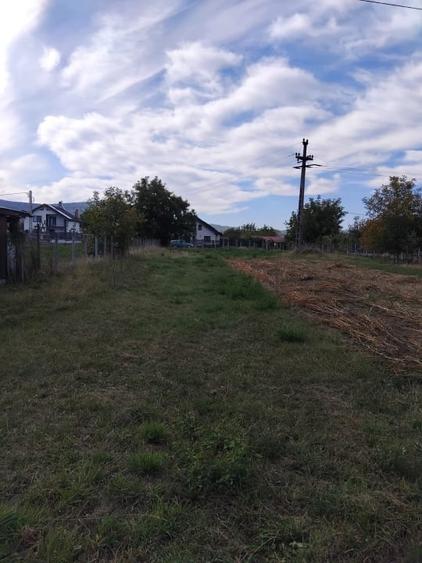 Teren Construcții intravilan de 2600 mp, în Livezile
