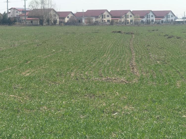 Teren Construcții intravilan de 9200 mp, în Est