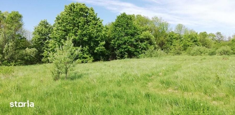 Teren de 11500 mp, în Vărădia de Mureș