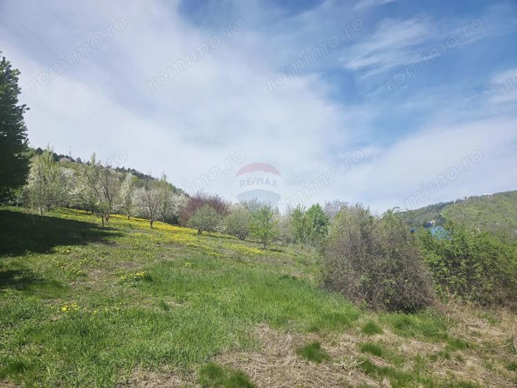 Teren de 1000 mp, în Calea Romanului