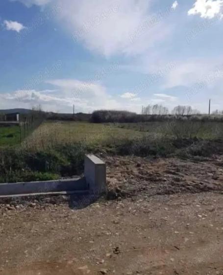 Teren de 784 mp, în Alparea