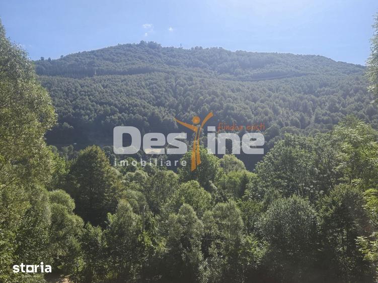 Teren Valea Doftanei, zona Pe Vale - Baraj Paltinu - 5
