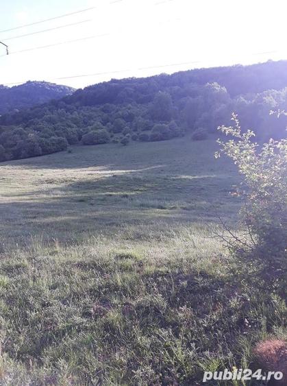 Teren de 10000 mp, în Cheia