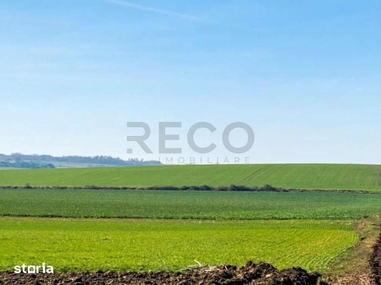 Teren de 42050 mp, în Tăut