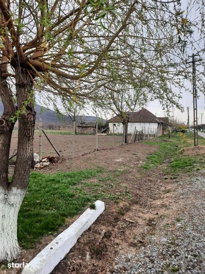 Teren de 1405 mp, în Șiria