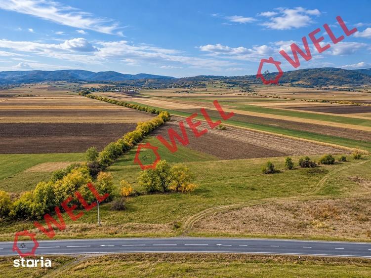 Teren de 11300 mp, în Valea Crișului