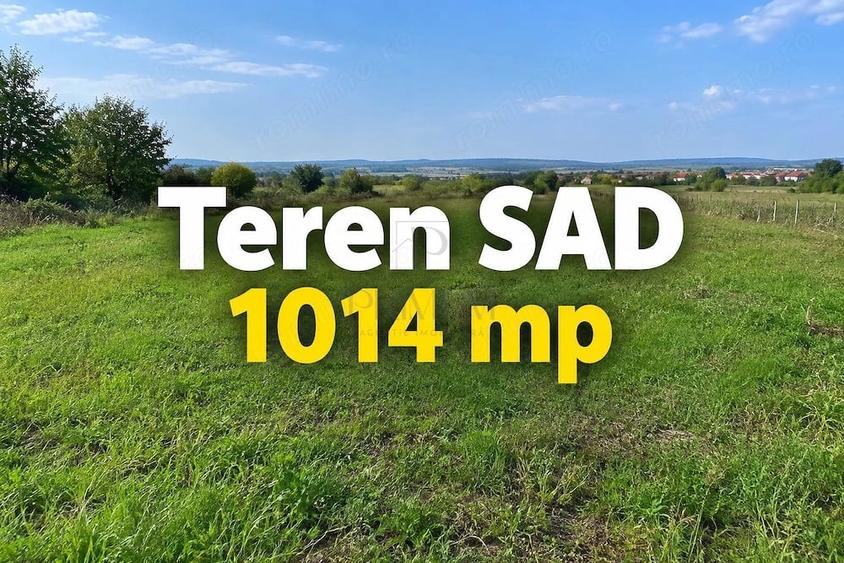 Teren - SAD - Mosnita Veche - 1