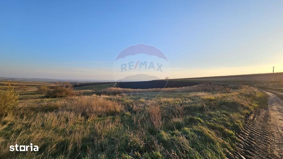 Teren extravilan 30077mp Stroiesti / Soseaua DN17, Suceava - 4