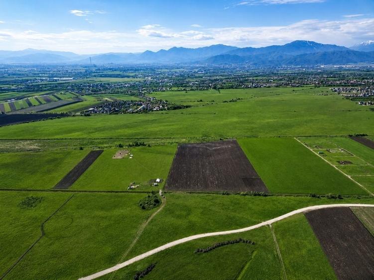 Teren de 8600 mp, în Stupini