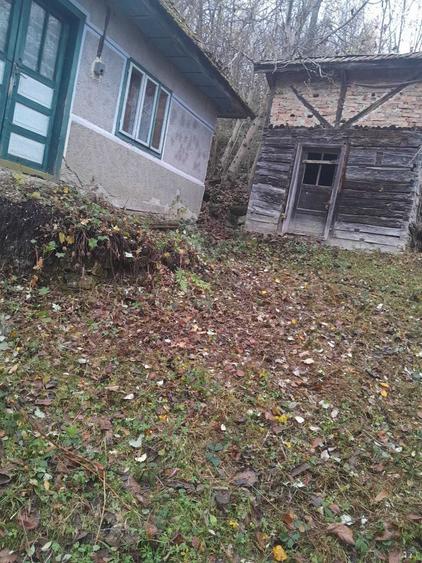 Casă cu 2 camere în Plai
